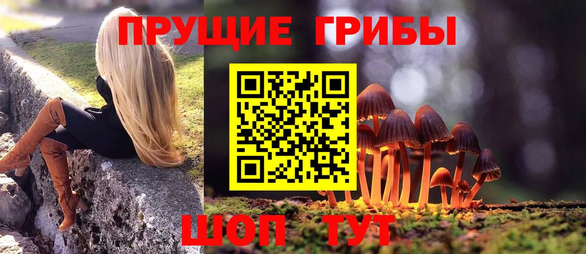 Галлюциногенные грибы MAGIC MUSHROOMS  Псилоцибиновые грибы Psilocybe  Вход с VPN  Волхов 